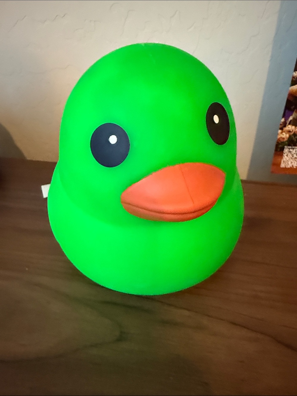 Green Plush Duck Pet Toy with Orange Beak